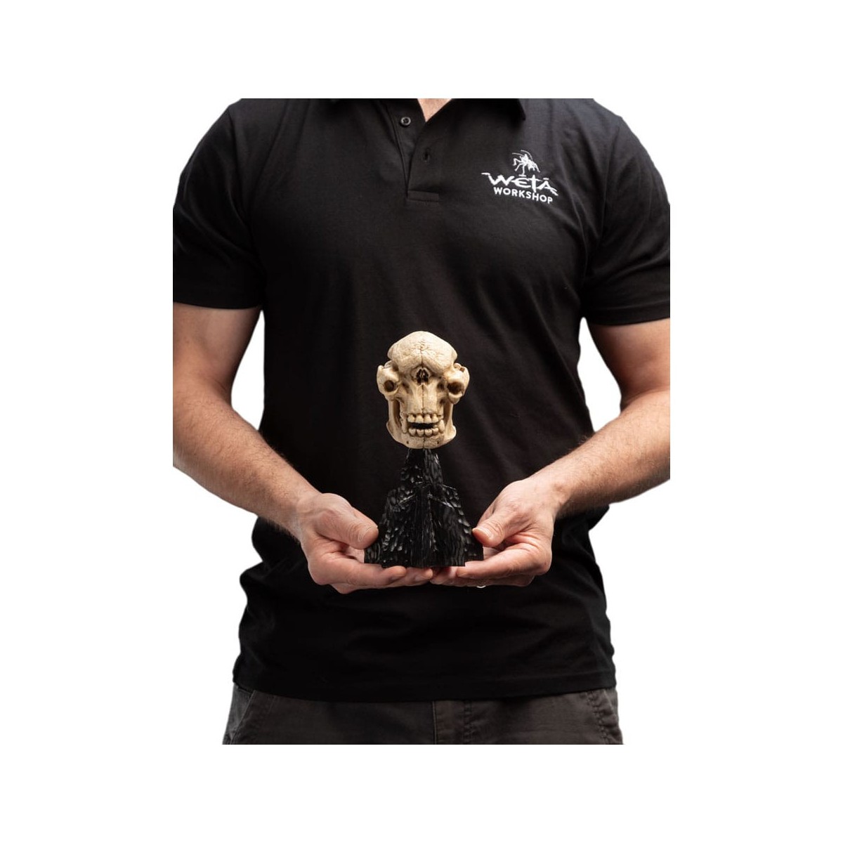 Weta - Der Herr der Ringe - Skull of a Cave Troll - LOTR
