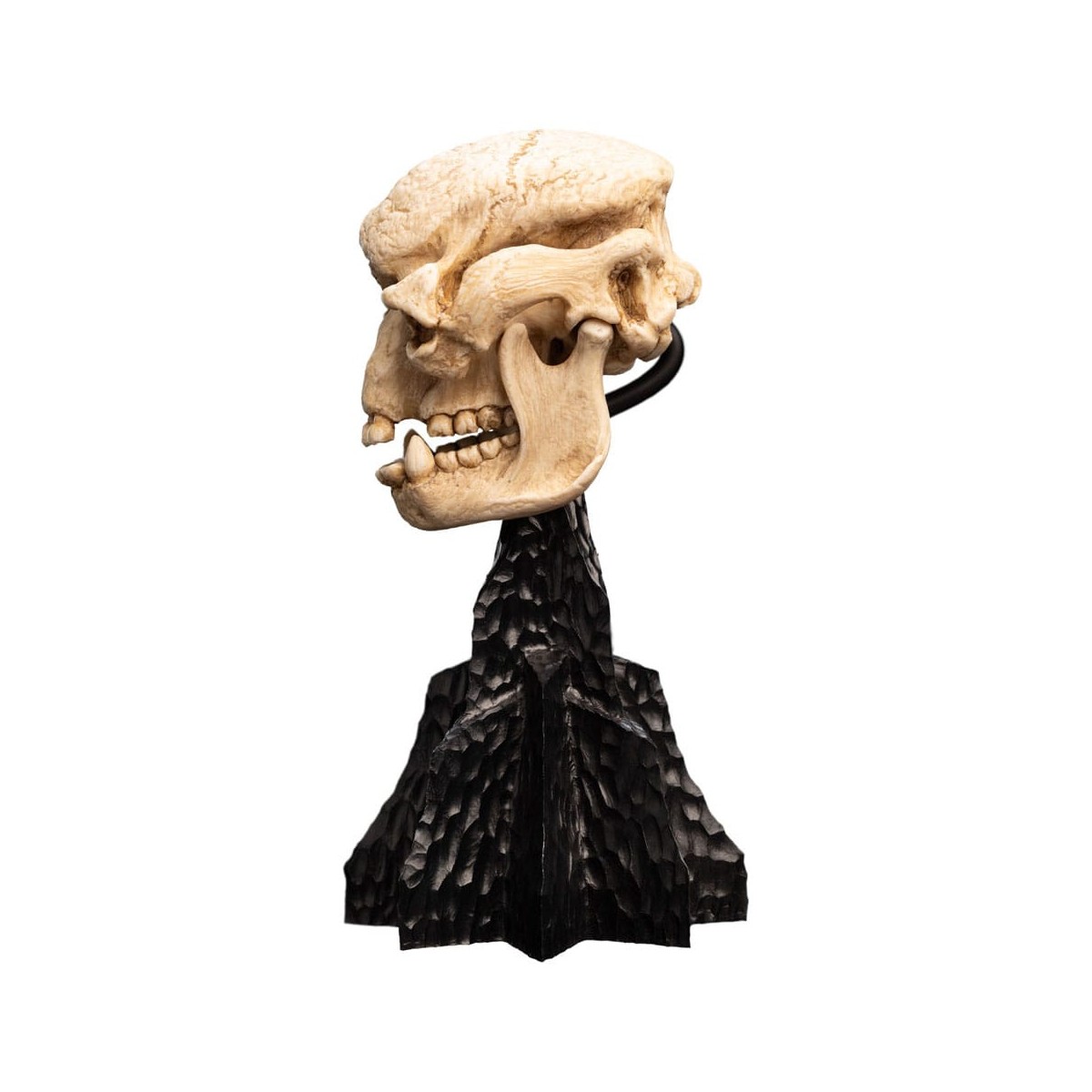 Weta - Der Herr der Ringe - Skull of a Cave Troll - LOTR