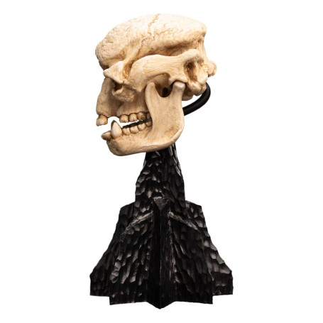 Weta - Der Herr der Ringe - Skull of a Cave Troll - LOTR