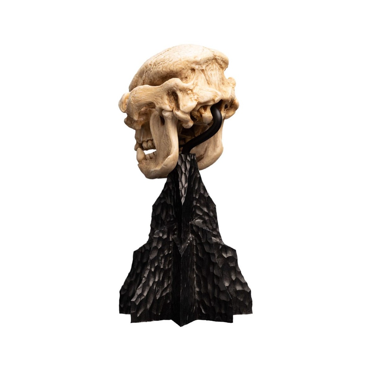 Weta - Der Herr der Ringe - Skull of a Cave Troll - LOTR