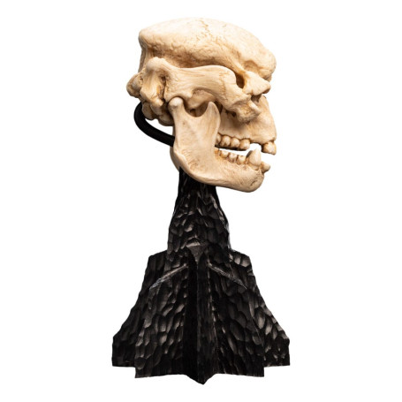 Weta - Der Herr der Ringe - Skull of a Cave Troll - LOTR