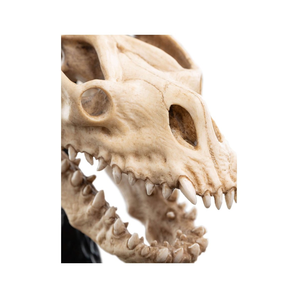 Weta - Der Herr der Ringe - Skull of a Fell Beast - LOTR
