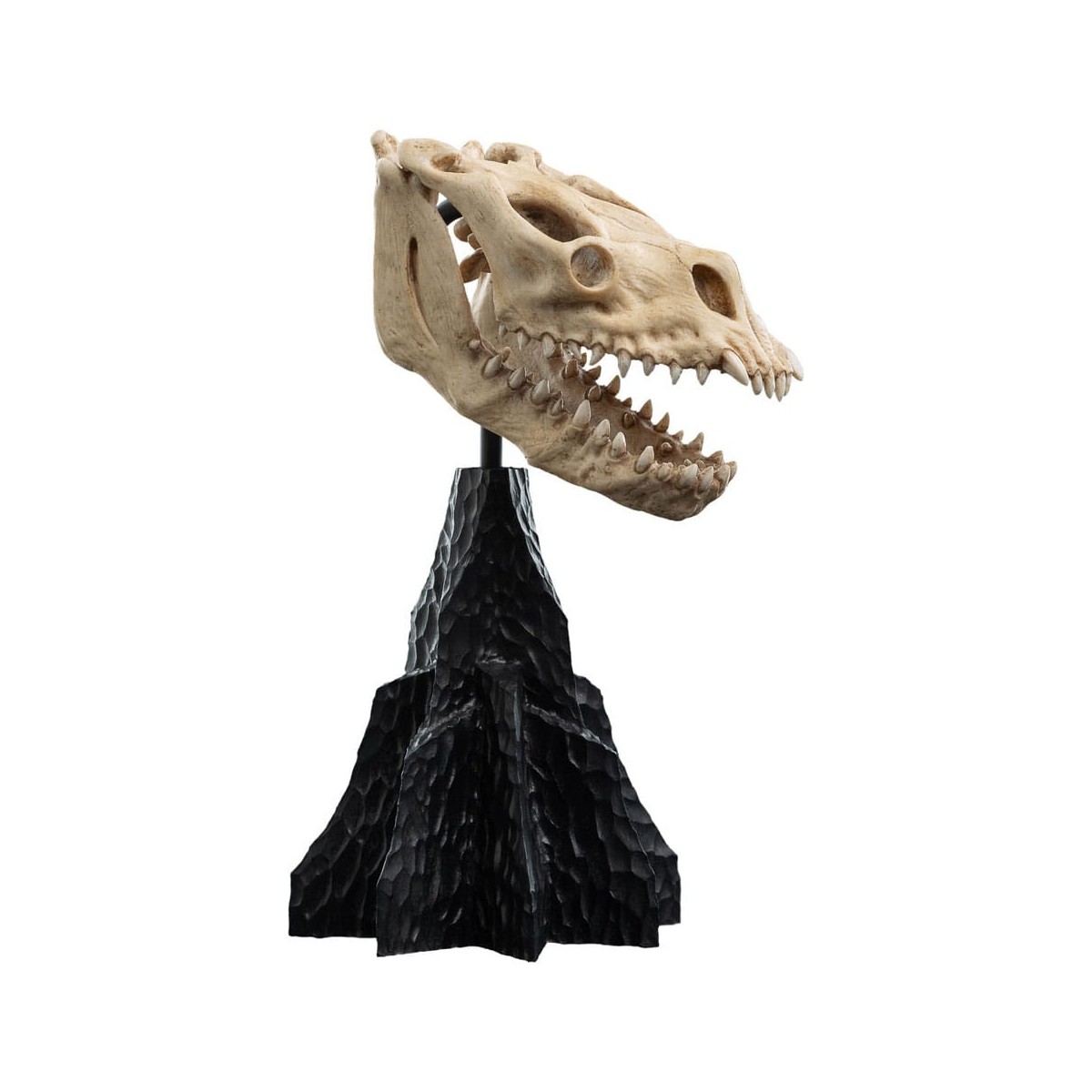Weta - Der Herr der Ringe - Skull of a Fell Beast - LOTR