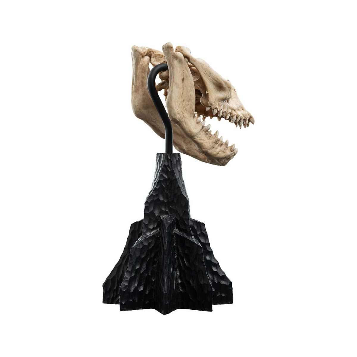 Weta - Der Herr der Ringe - Skull of a Fell Beast - LOTR
