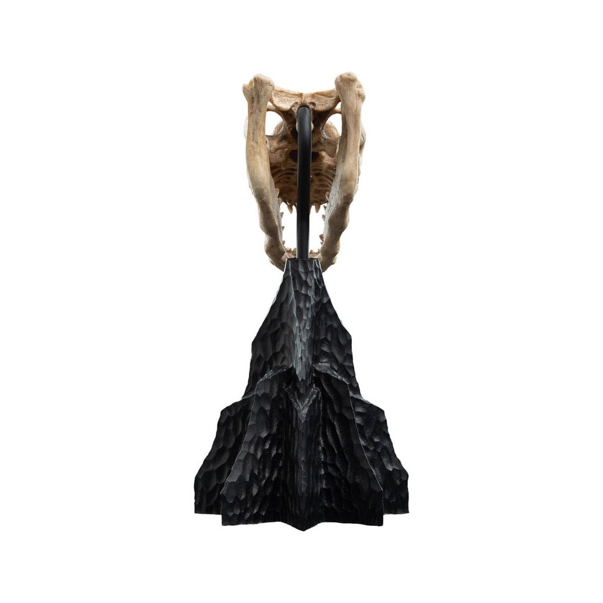 Weta - Der Herr der Ringe - Skull of a Fell Beast - LOTR