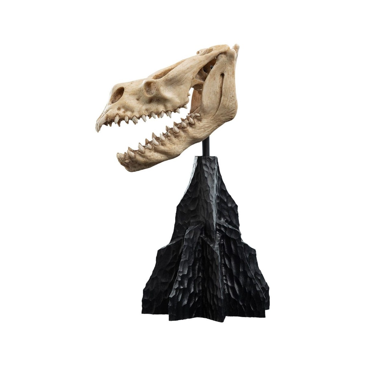 Weta - Der Herr der Ringe - Skull of a Fell Beast - LOTR