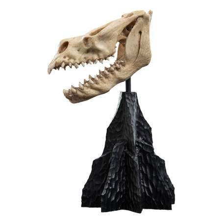 Weta - Der Herr der Ringe - Skull of a Fell Beast - LOTR