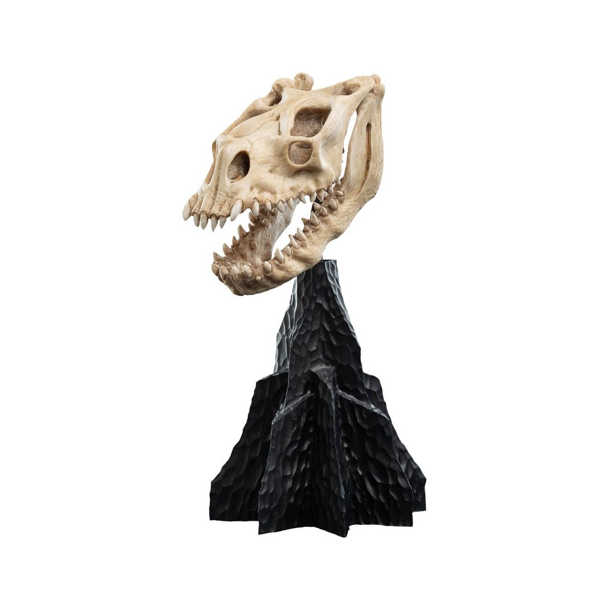 Weta - Der Herr der Ringe - Skull of a Fell Beast - LOTR
