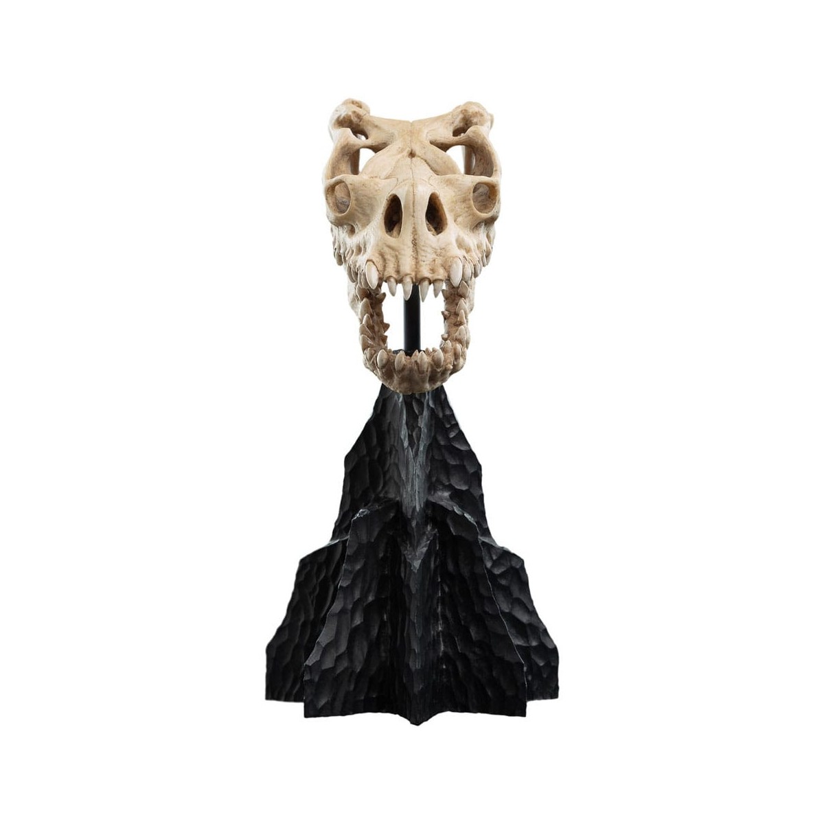 Weta - Der Herr der Ringe - Skull of a Fell Beast - LOTR