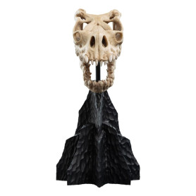 Weta - Der Herr der Ringe - Skull of a Fell Beast - LOTR