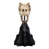 Weta - Der Herr der Ringe - Skull of a Fell Beast - LOTR