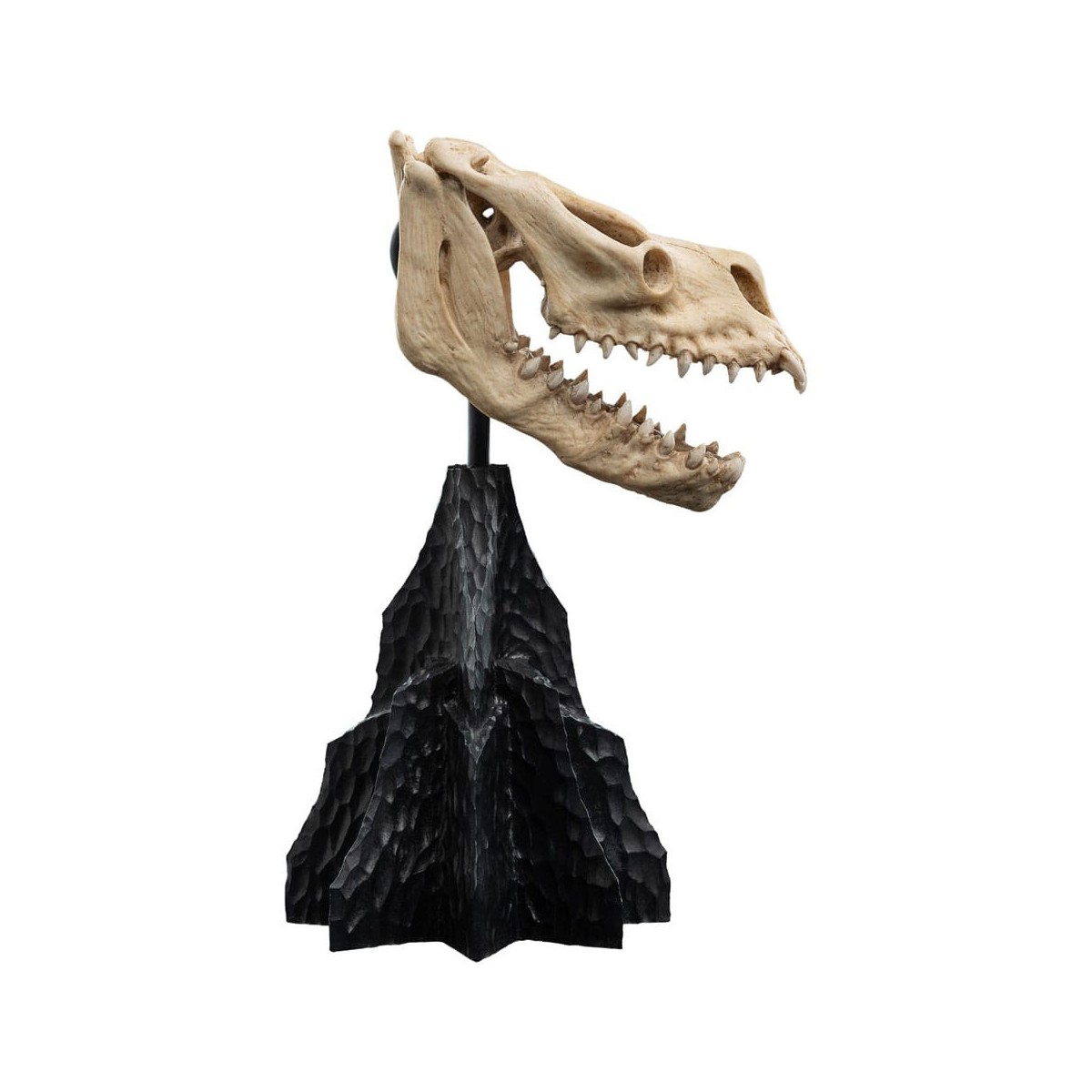 Weta - Der Herr der Ringe - Skull of a Fell Beast - LOTR