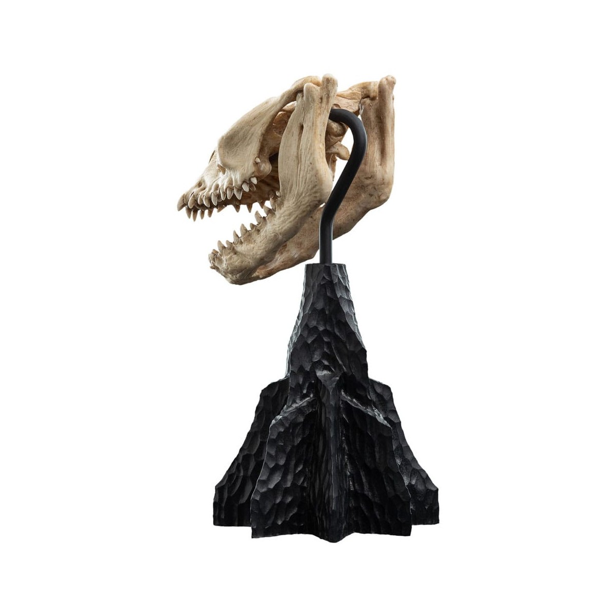 Weta - Der Herr der Ringe - Skull of a Fell Beast - LOTR