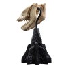 Weta - Der Herr der Ringe - Skull of a Fell Beast - LOTR