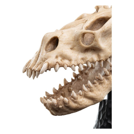 Weta - Der Herr der Ringe - Skull of a Fell Beast - LOTR
