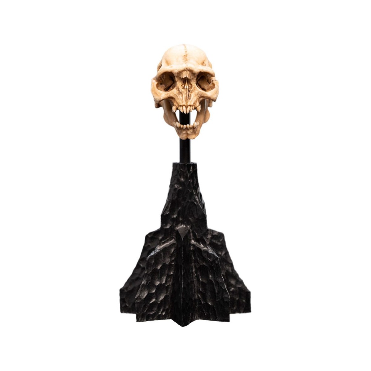 Weta - Der Herr der Ringe - Skull of a Moria Orc - LOTR