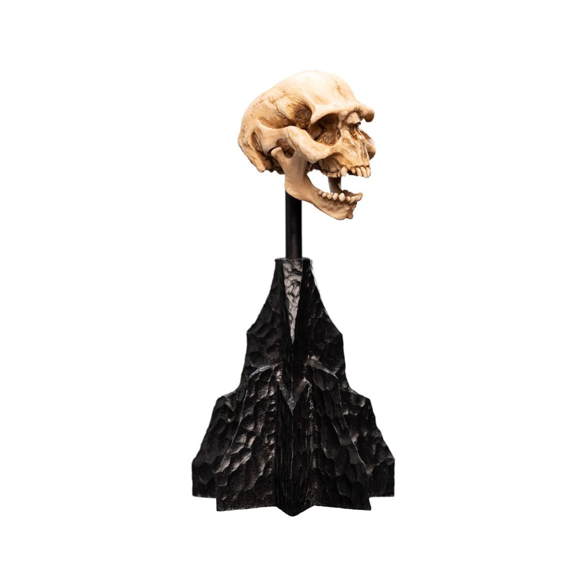 Weta - Der Herr der Ringe - Skull of a Moria Orc - LOTR