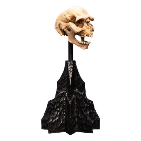 Weta - Der Herr der Ringe - Skull of a Moria Orc - LOTR