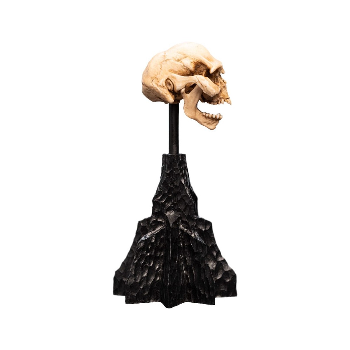 Weta - Der Herr der Ringe - Skull of a Moria Orc - LOTR