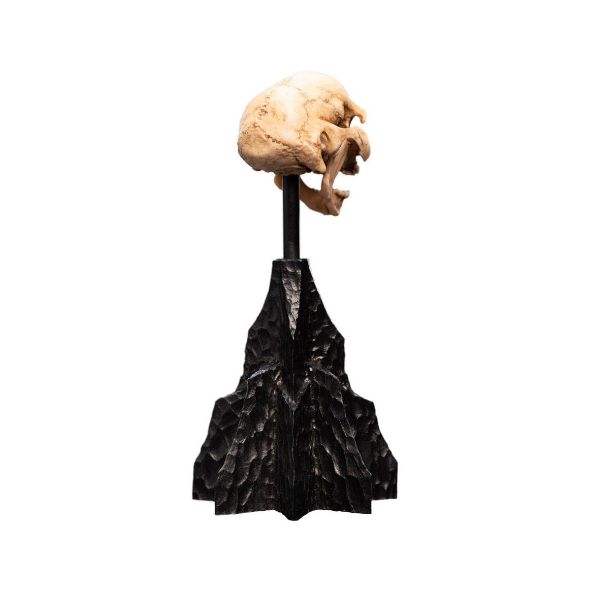 Weta - Der Herr der Ringe - Skull of a Moria Orc - LOTR