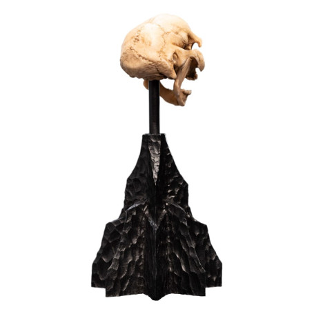 Weta - Der Herr der Ringe - Skull of a Moria Orc - LOTR
