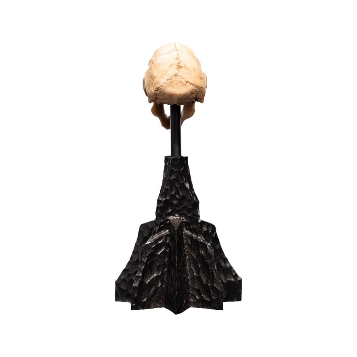 Weta - Der Herr der Ringe - Skull of a Moria Orc - LOTR