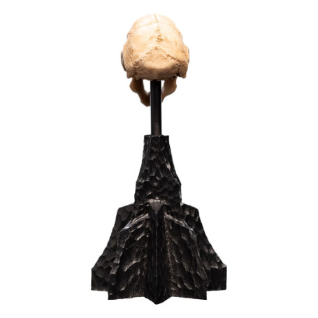 Weta - Der Herr der Ringe - Skull of a Moria Orc - LOTR