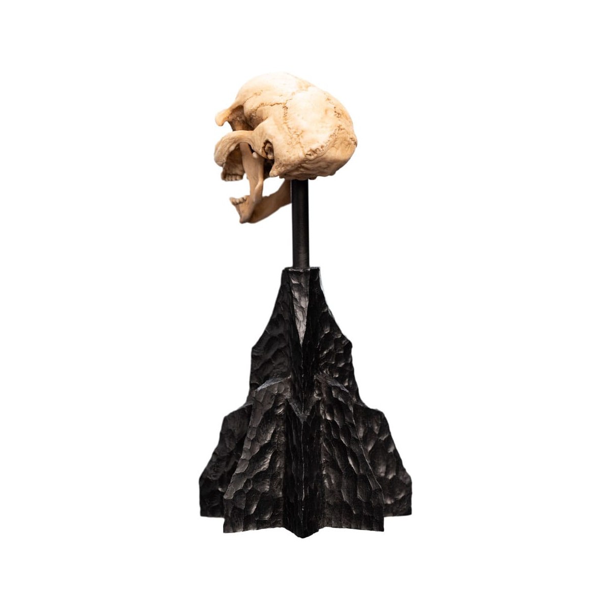 Weta - Der Herr der Ringe - Skull of a Moria Orc - LOTR