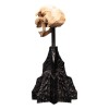 Weta - Der Herr der Ringe - Skull of a Moria Orc - LOTR
