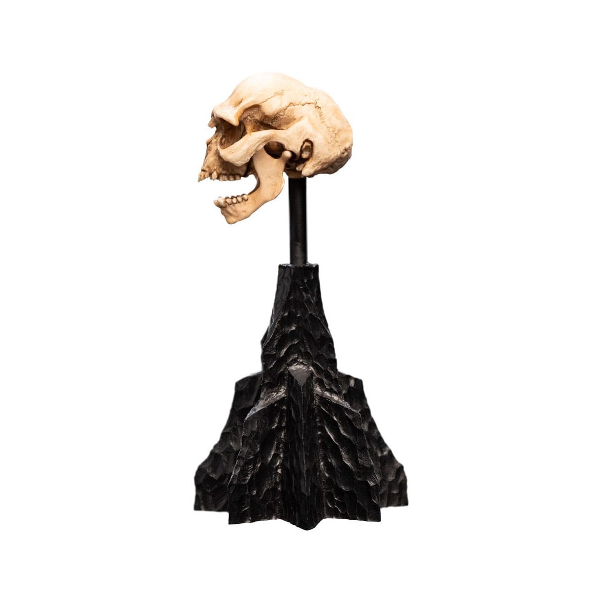 Weta - Der Herr der Ringe - Skull of a Moria Orc - LOTR