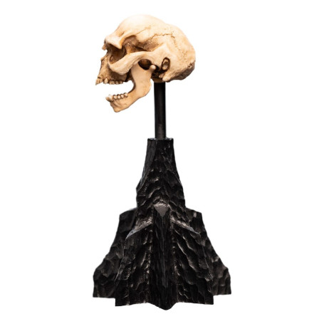 Weta - Der Herr der Ringe - Skull of a Moria Orc - LOTR