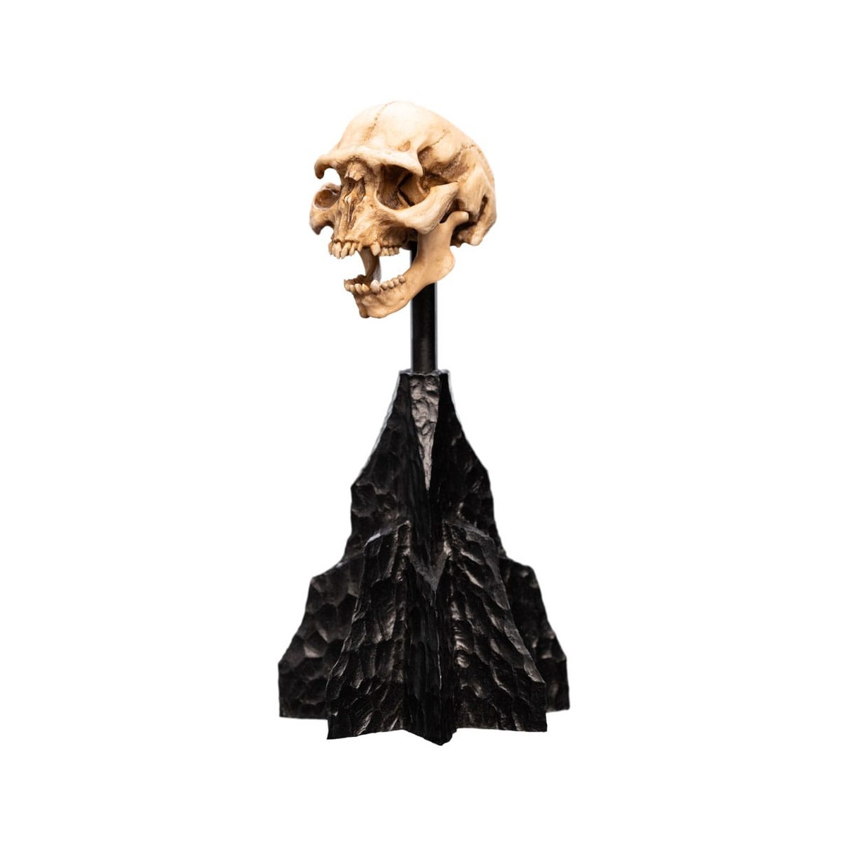 Weta - Der Herr der Ringe - Skull of a Moria Orc - LOTR