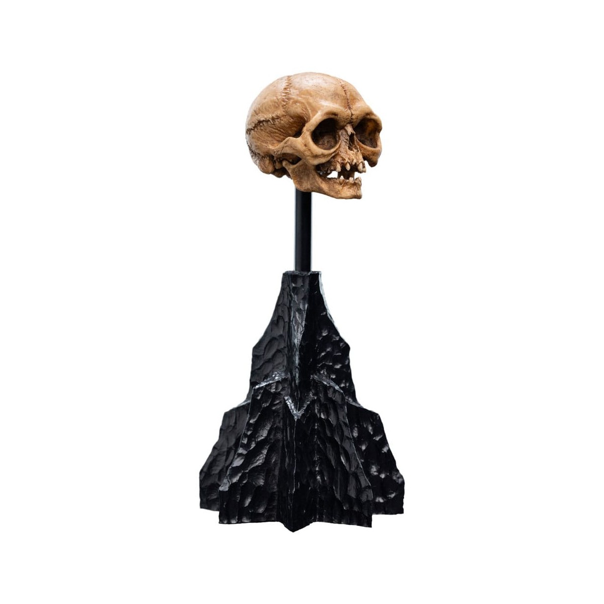 Weta - Der Herr der Ringe - Skull of Gollum - LOTR