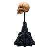 Weta - Der Herr der Ringe - Skull of Gollum - LOTR