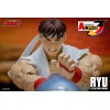Storm Collectibles - RYU - Street Fighter Alpha Storm Arena 1/12