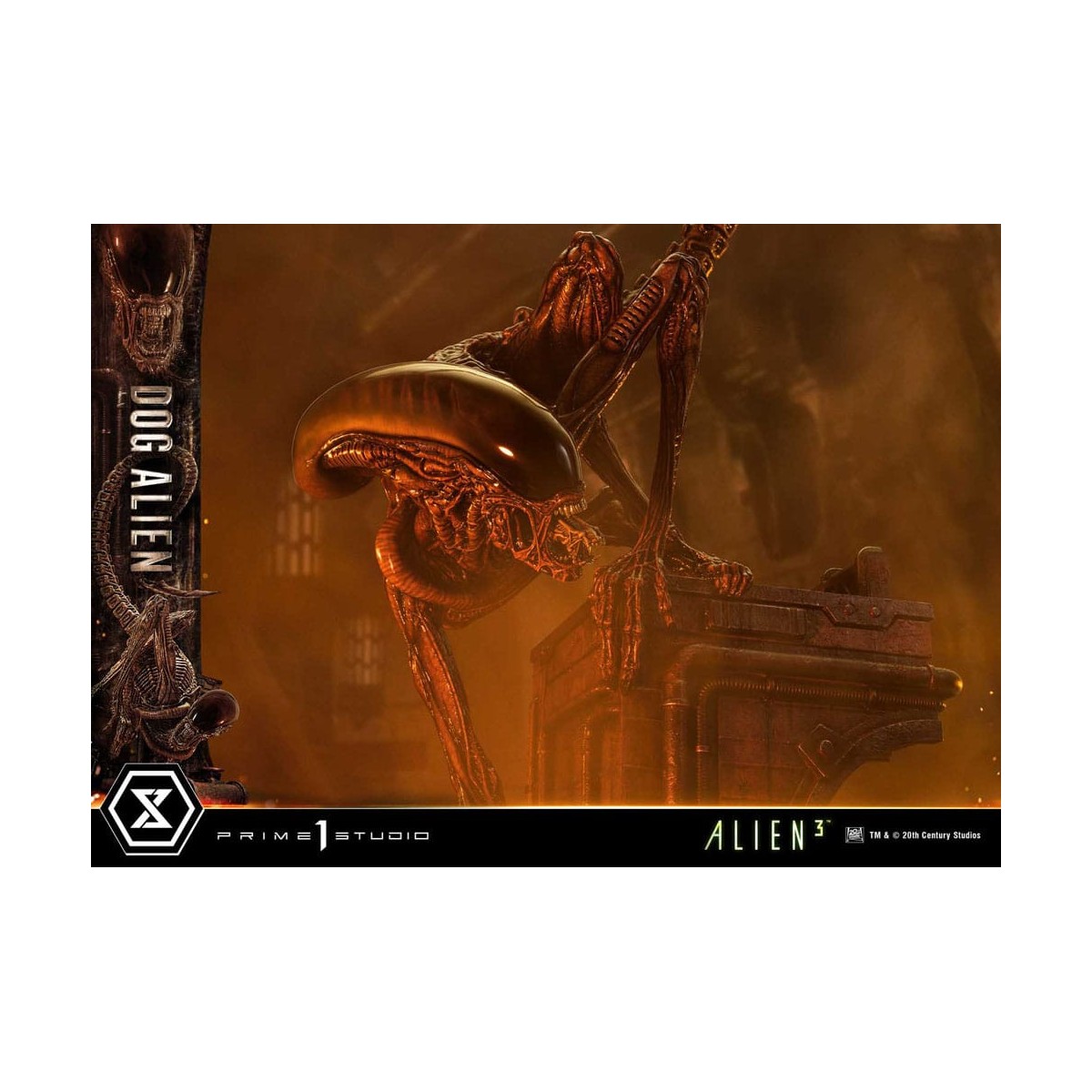 Prime 1 Studio - Dog Alien 1/3 - Alien 3 Museum Masterline XL