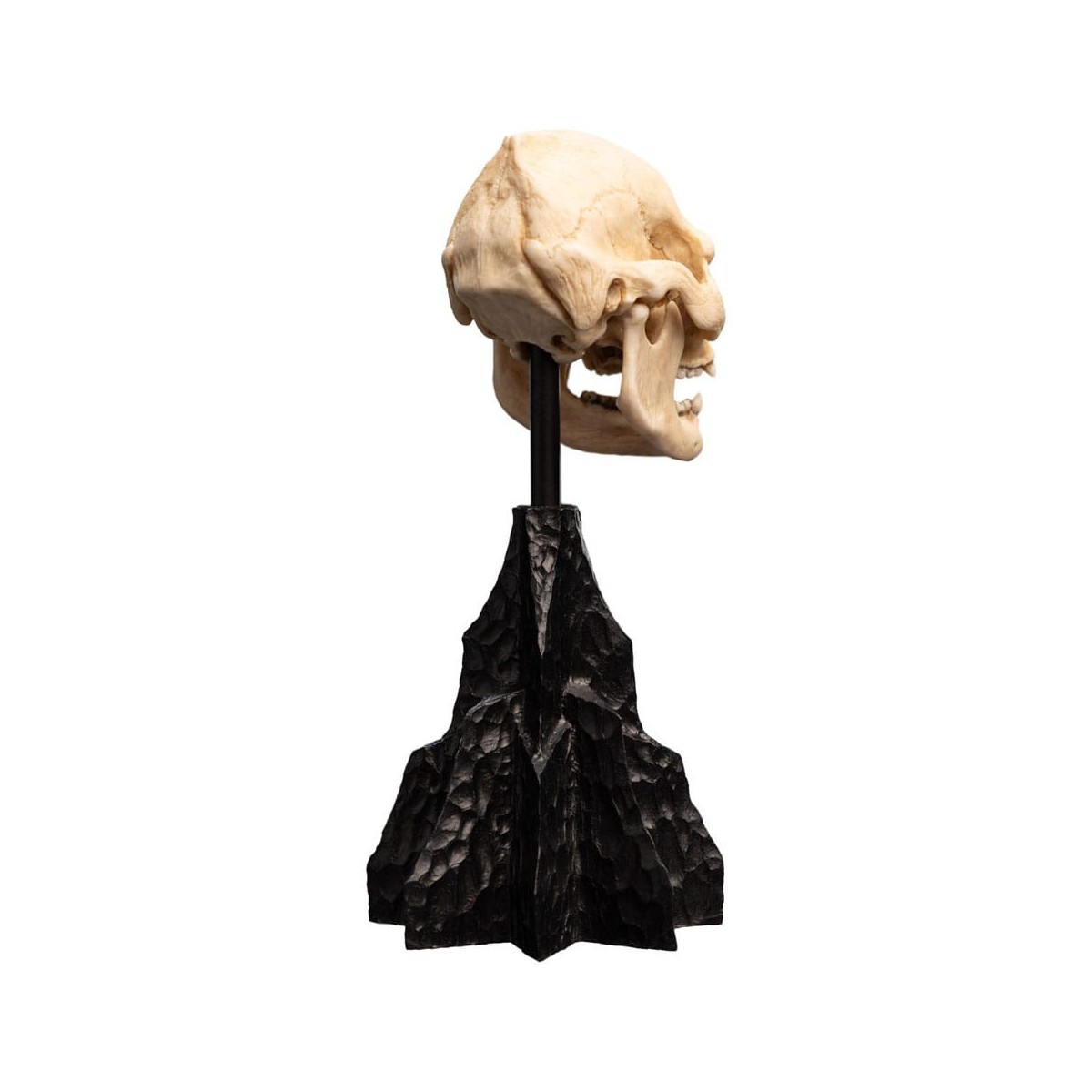 Weta - Der Herr der Ringe - Skull of Lurtz - LOTR