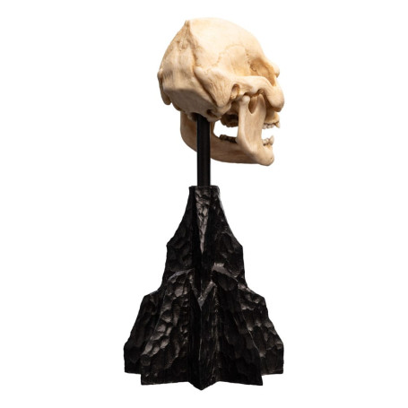 Weta - Der Herr der Ringe - Skull of Lurtz - LOTR