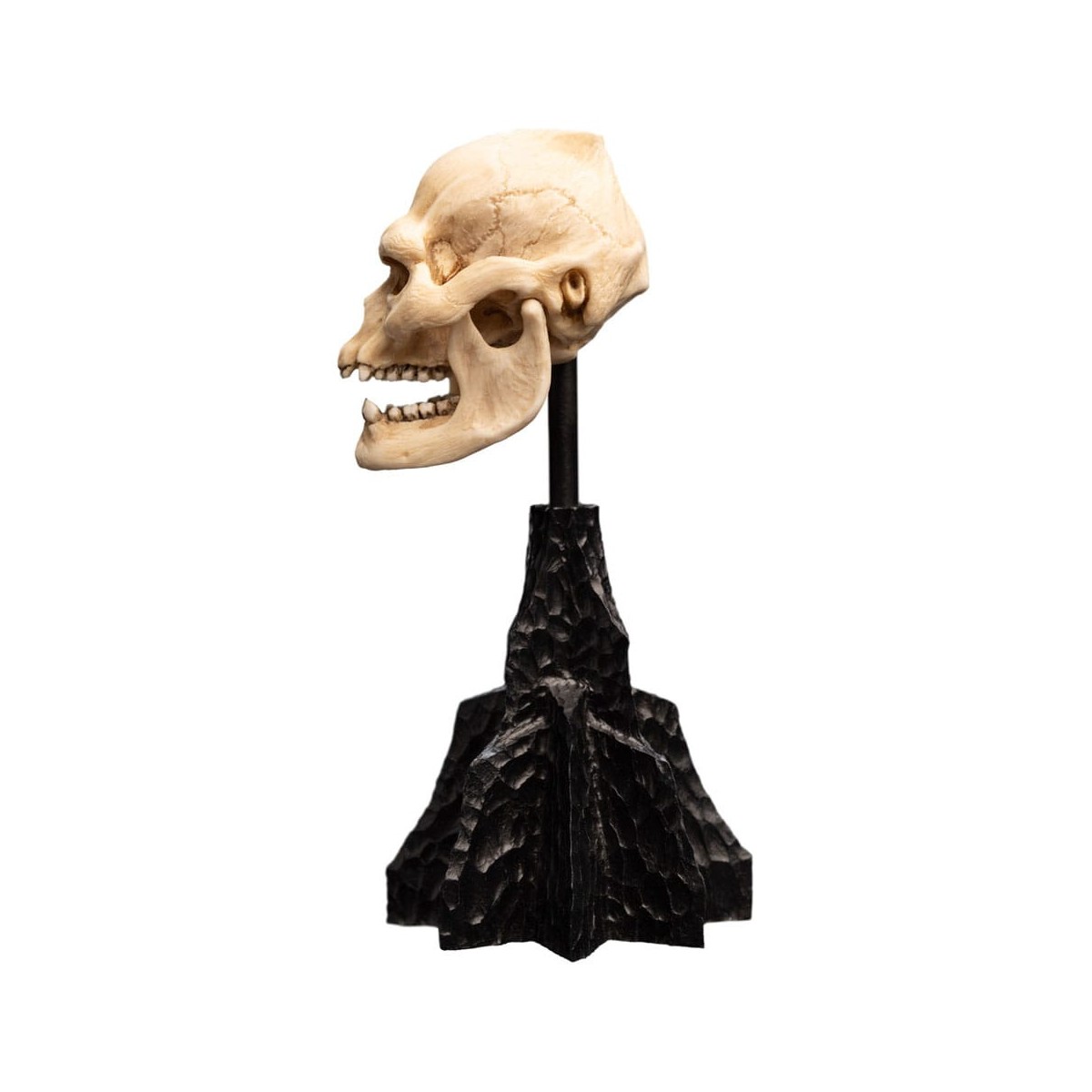 Weta - Der Herr der Ringe - Skull of Lurtz - LOTR