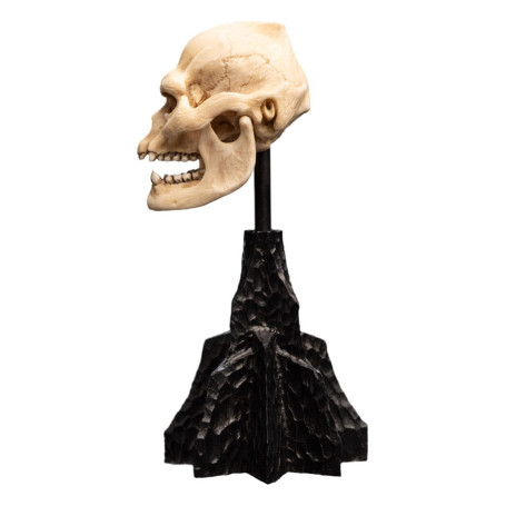 Weta - Der Herr der Ringe - Skull of Lurtz - LOTR