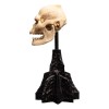 Weta - Der Herr der Ringe - Skull of Lurtz - LOTR