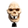 Weta - Der Herr der Ringe - Skull of Lurtz - LOTR