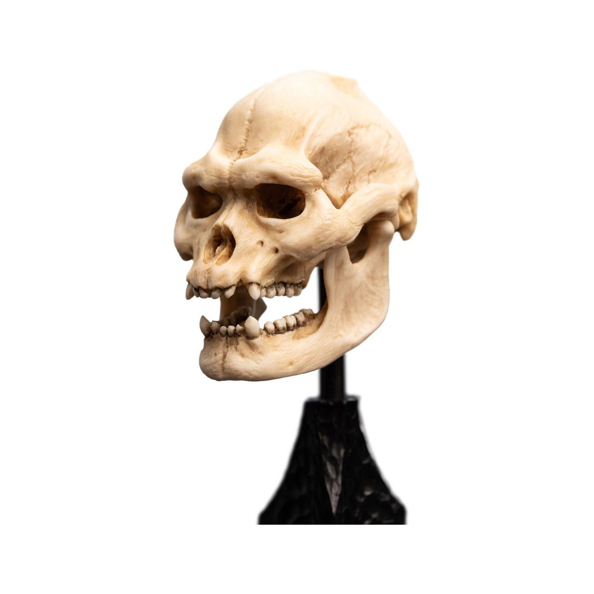 Weta - Der Herr der Ringe - Skull of Lurtz - LOTR