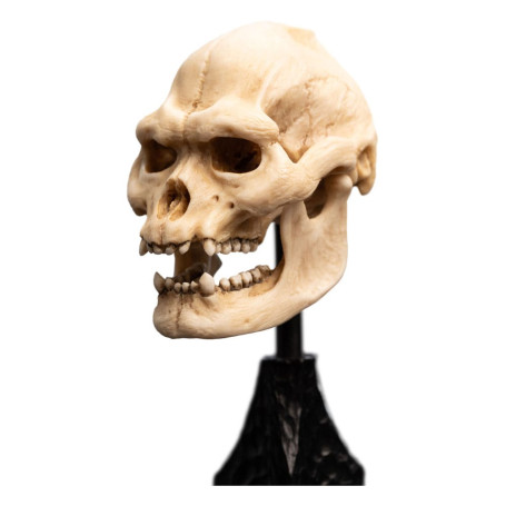Weta - Der Herr der Ringe - Skull of Lurtz - LOTR