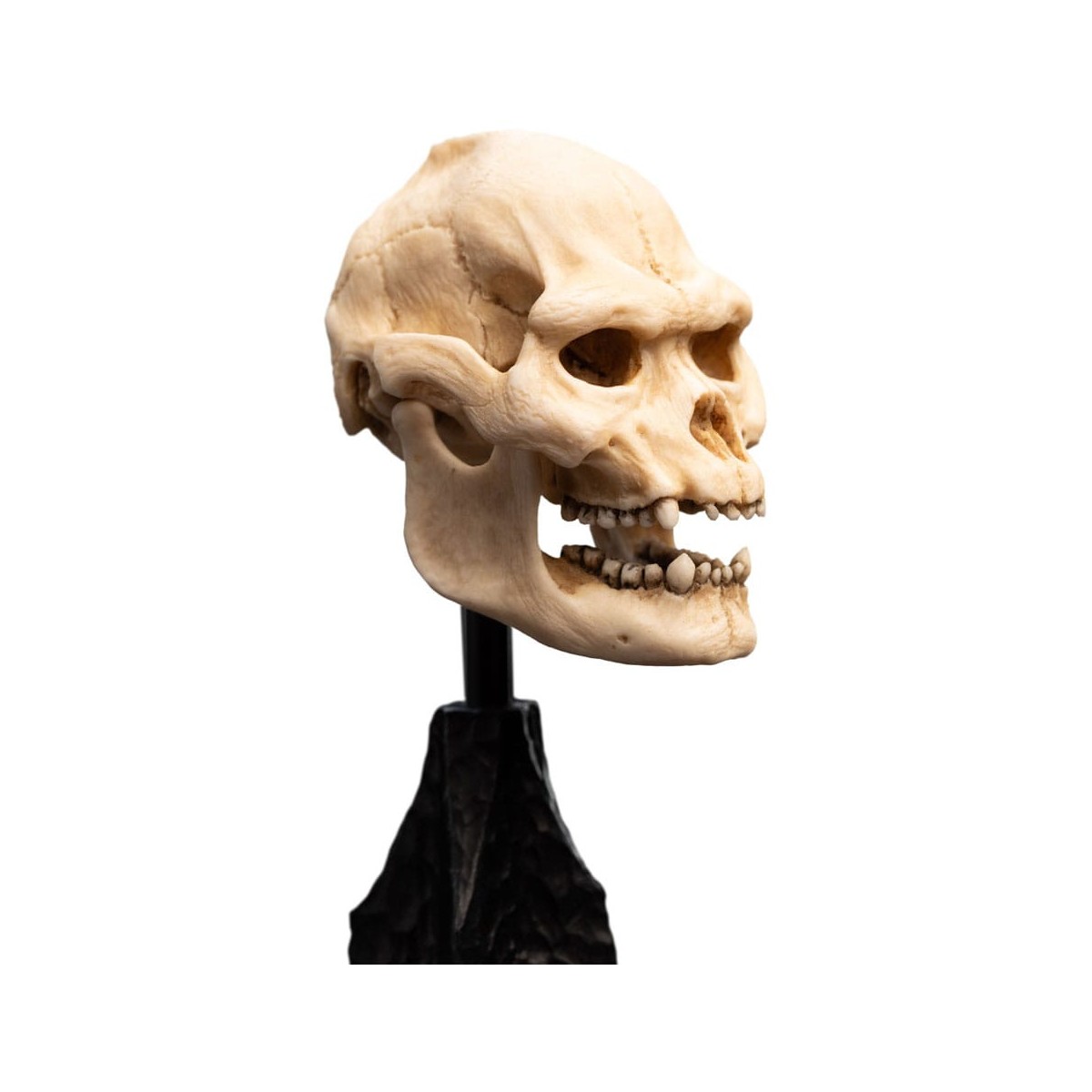 Weta - Der Herr der Ringe - Skull of Lurtz - LOTR