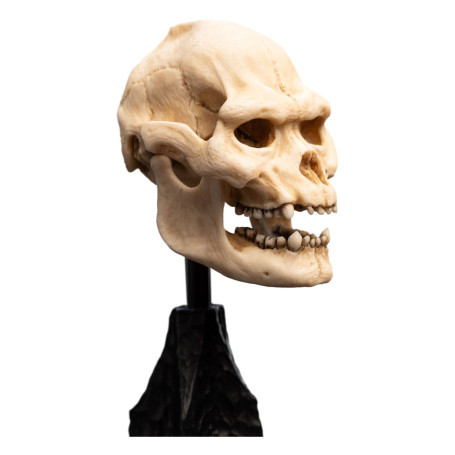 Weta - Der Herr der Ringe - Skull of Lurtz - LOTR