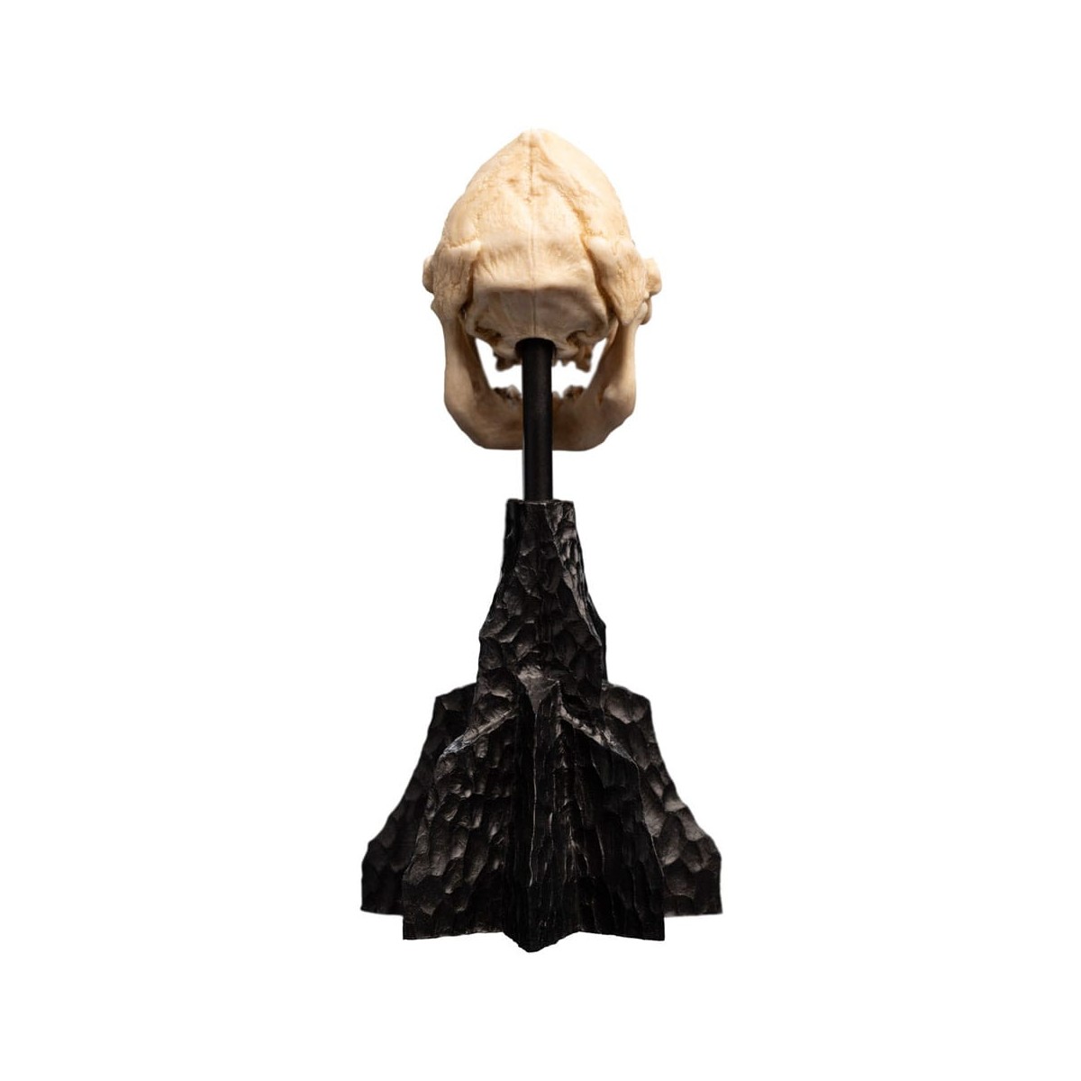 Weta - Der Herr der Ringe - Skull of Lurtz - LOTR