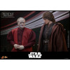 Hot Toys Star Wars Actionfigur 1/6 Darth Nihilus 31 cm
