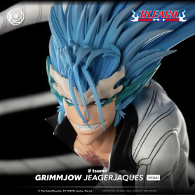 Tsume Ikigai Bleach - Grimmjow Jaggerjack 1/6