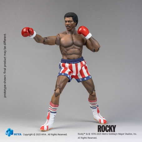 HIYA TOYS - APOLLO Exquisite Super Series 1/12 - Rocky